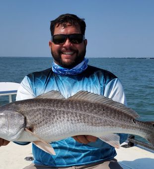 Redfish in Northern Charleston